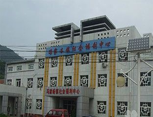 ḣ