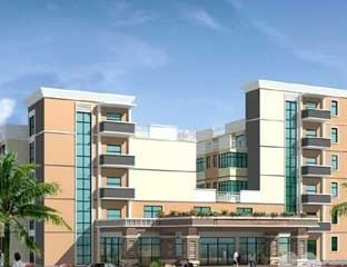 ����������԰���Ϲ�Ԣ