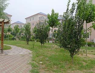 ����������깫Ԣ