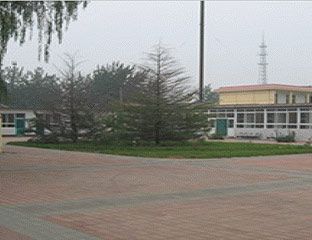 ������Ժ