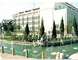 �㳿���깫Ԣ