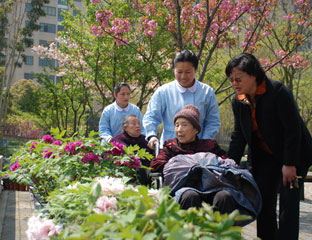 ̩������԰��԰����Ժ