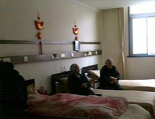 Ժ