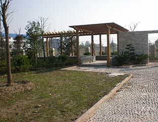 ļžԺ