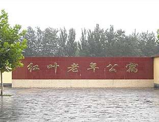 �����Ӻ�Ҷ���깫Ԣ