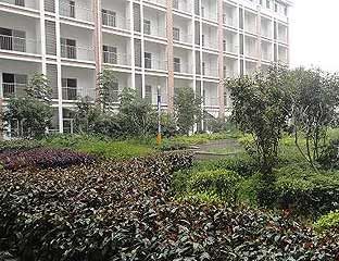 ���������깫Ԣ