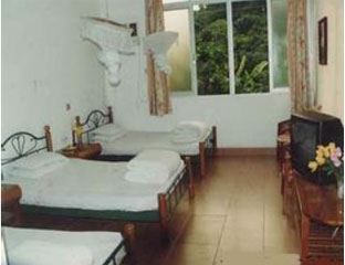 �ŷ��ʢ����������