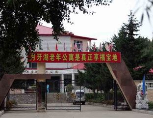 ���������깫Ԣ 