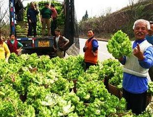 ��˳�羴��Ժ 