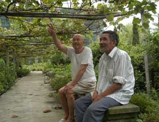 ����������Ժ