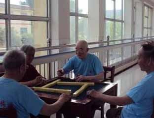 ���������깫Ԣ