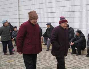 �׵�����Ժ