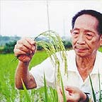 Ԭ¡ƽ��80�������20��ļ���